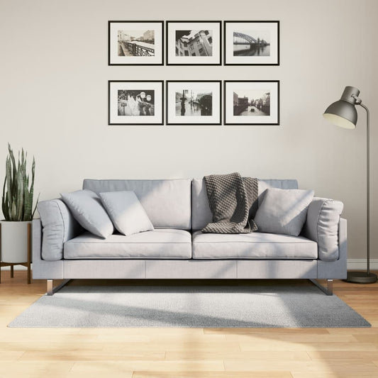 Rug IZA Low Pile Scandinavian Look Grey 80x150 cm