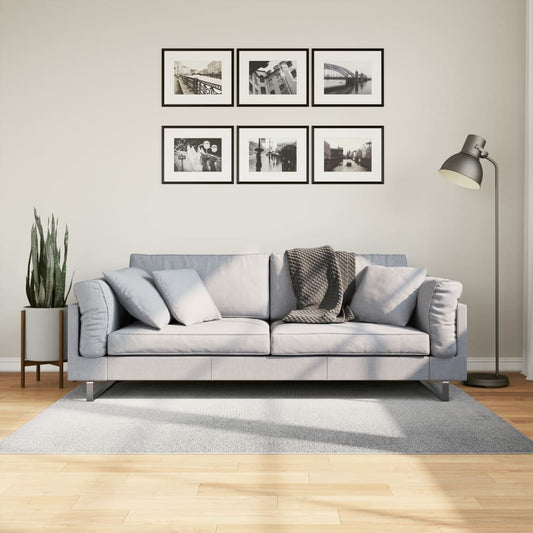 Rug IZA Low Pile Scandinavian Look Grey 120x170 cm