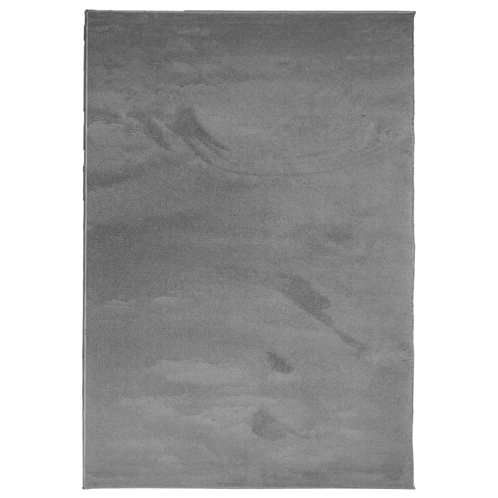 Tapis OVIEDO Poils ras Anthracite 200x280 cm
