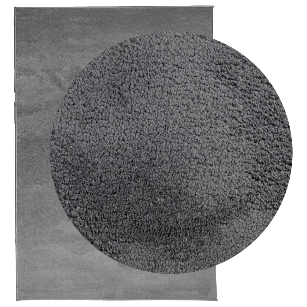 Tapis OVIEDO Poils ras Anthracite 200x280 cm