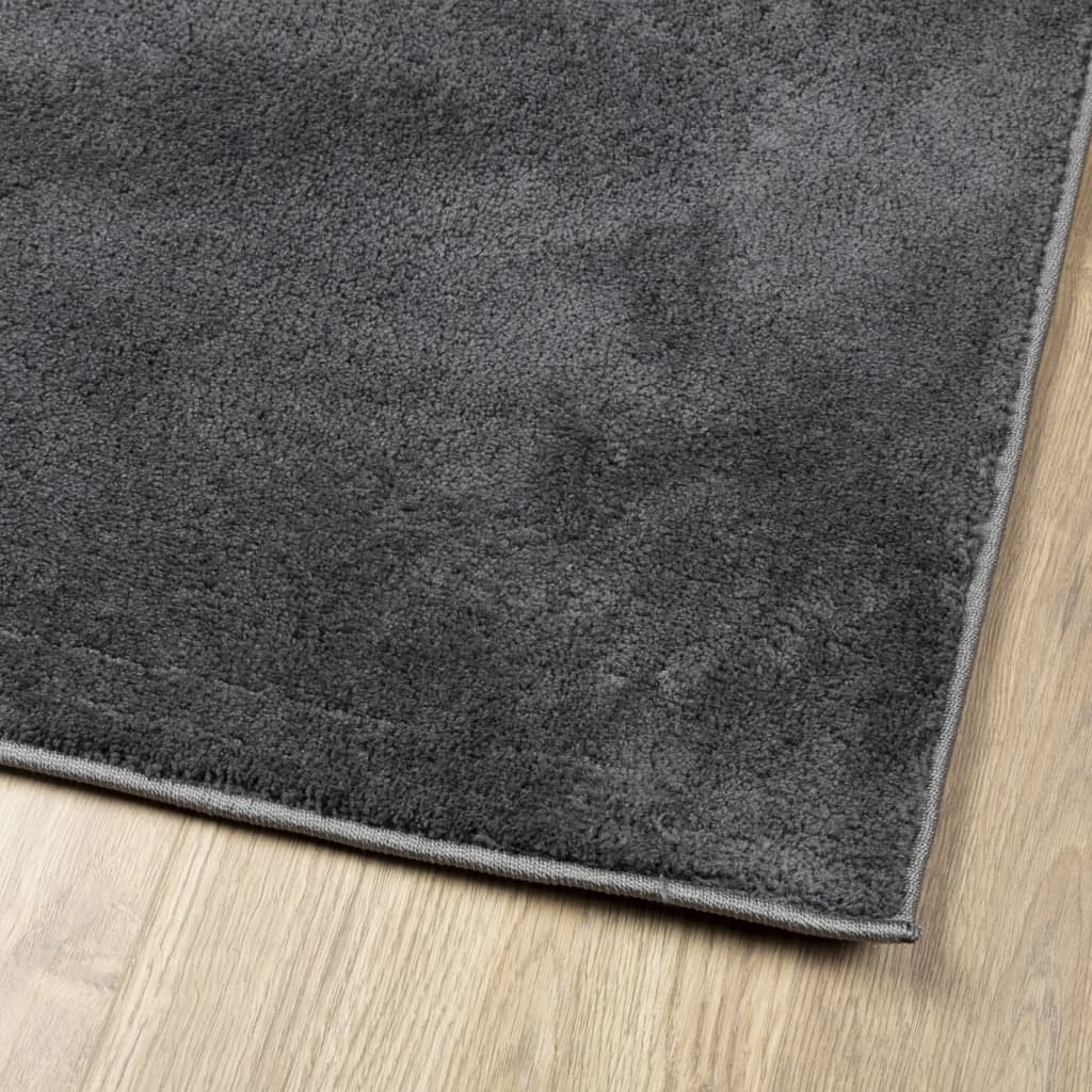 Tapis OVIEDO Poils ras Anthracite 200x280 cm