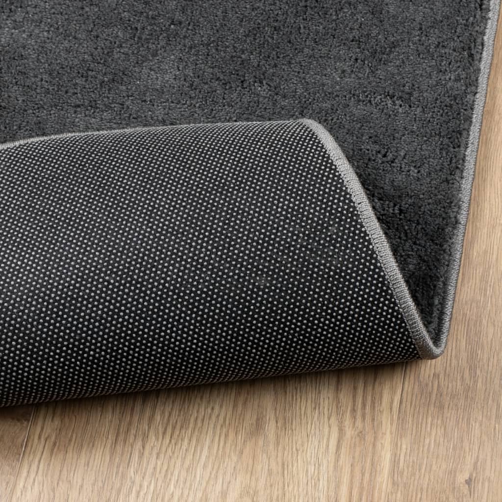 Tapis OVIEDO Poils ras Anthracite 200x280 cm