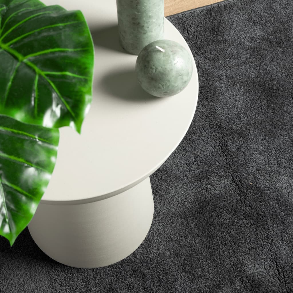 Tapis OVIEDO Poils ras Anthracite 200x280 cm