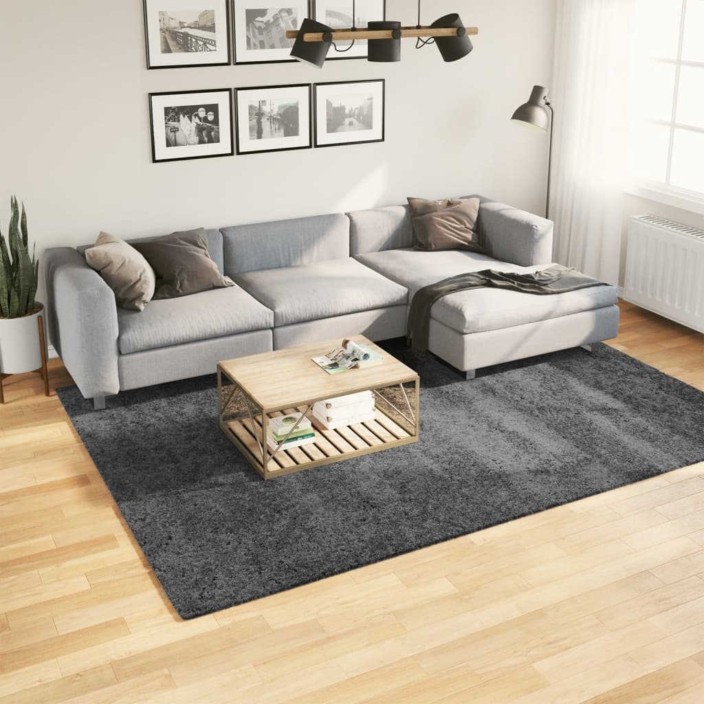 Tapis OVIEDO Poils ras Anthracite 200x280 cm