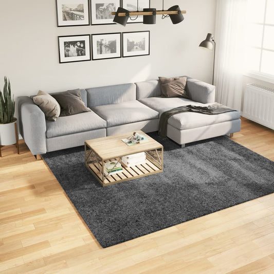 OVIEDO Anthracite Low-Pile Rug 240x240 cm