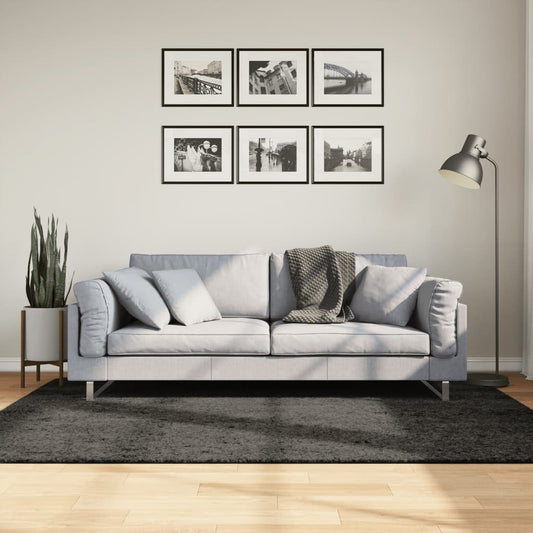 Carpet ISTAN High Pile Shimmer Anthracite 140x200 cm
