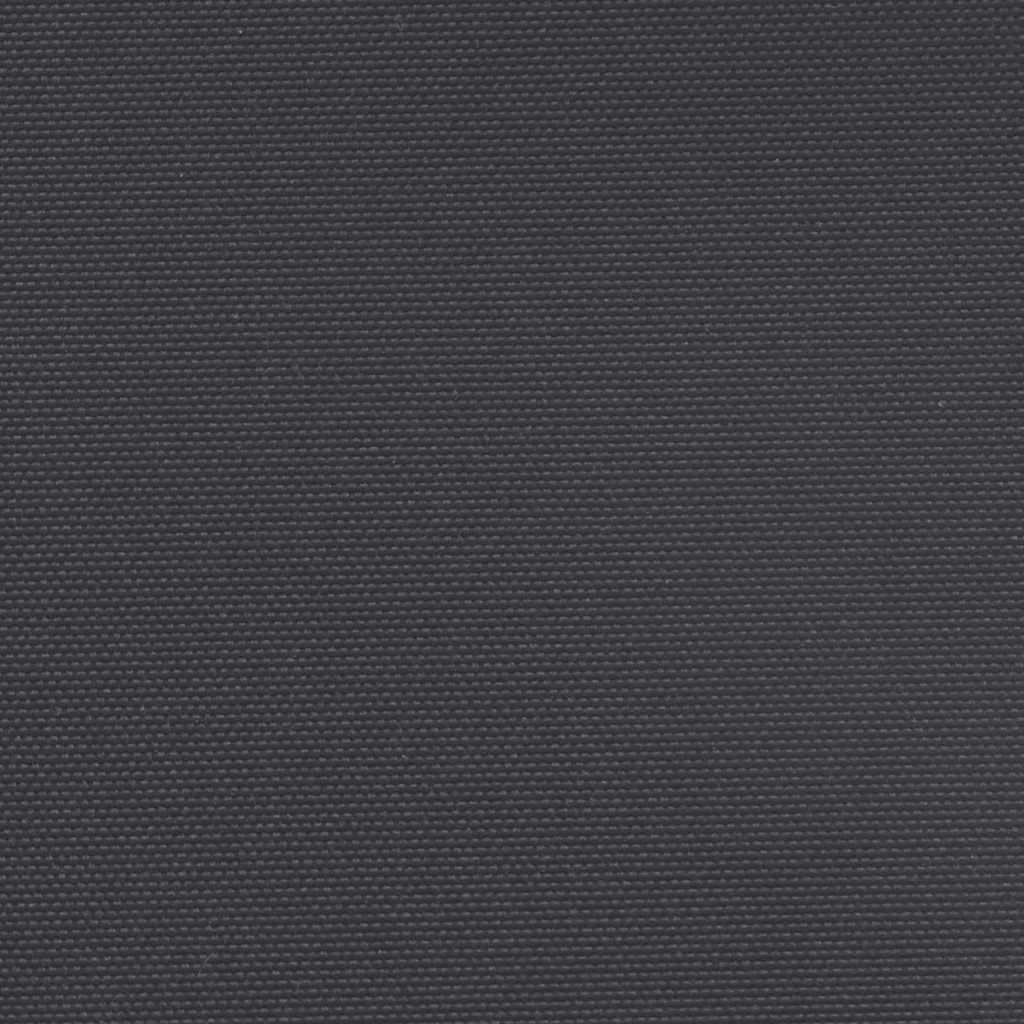 Seitenmarkise Ausziehbar Schwarz 160x300 cm