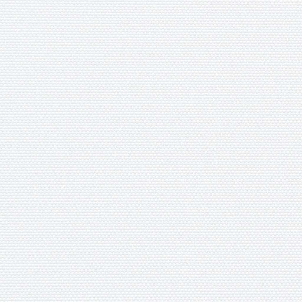 Seitenmarkise Ausziehbar Weiß 100x500 cm