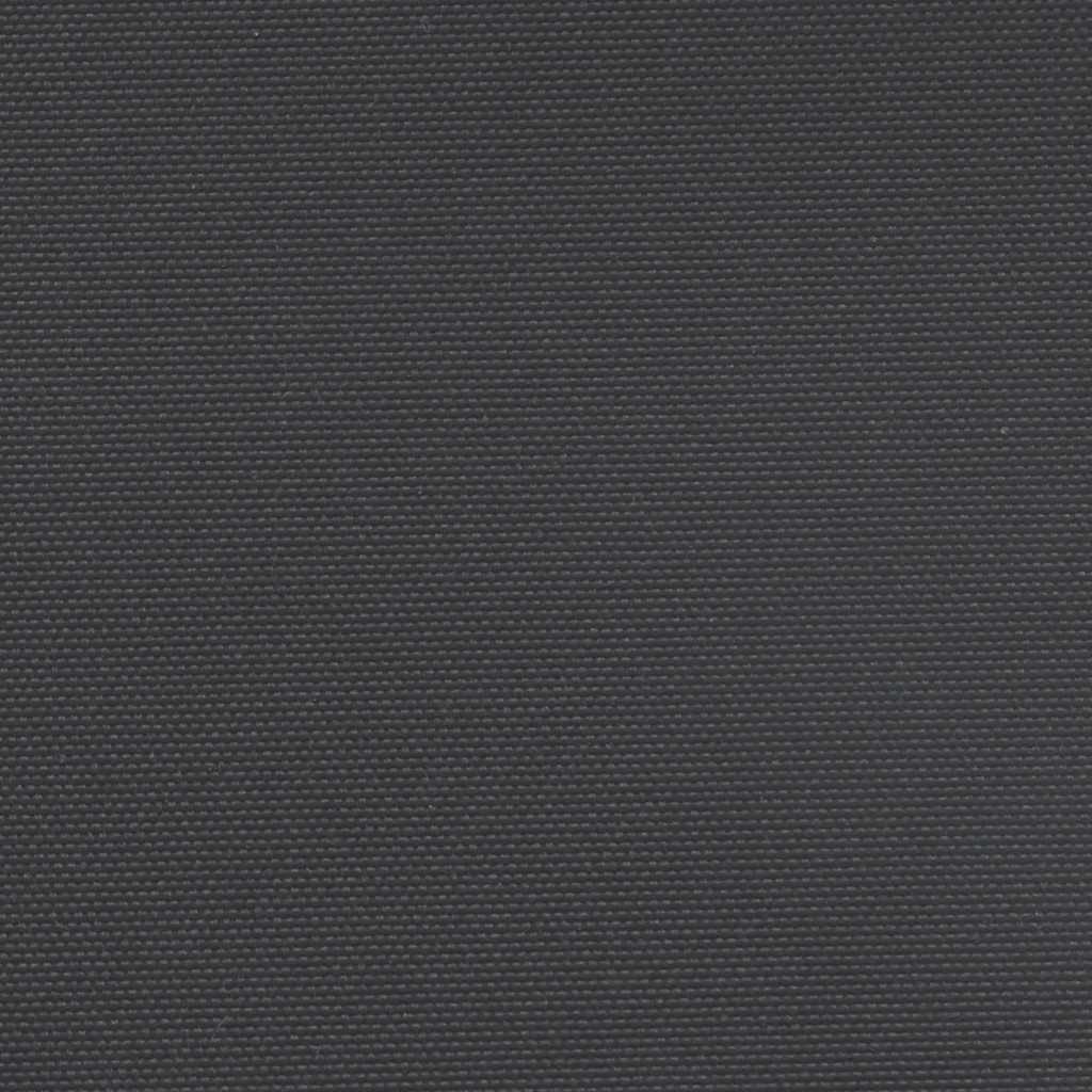 Seitenmarkise Ausziehbar Schwarz 100x1000 cm