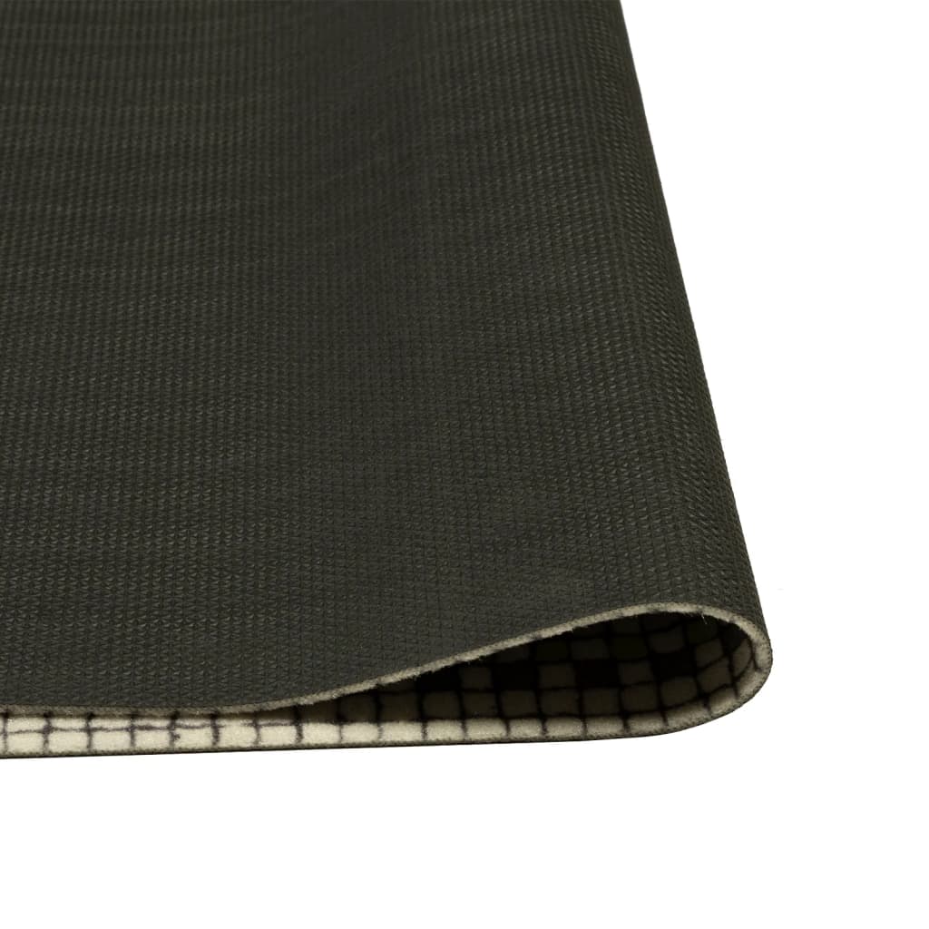 Washable Kitchen Mat Capitals Home 60x300 cm Velvet