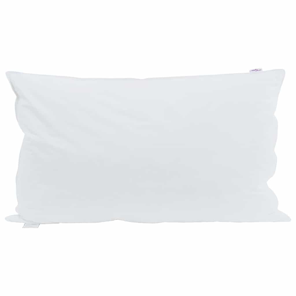 Pillows with pillow 2 pcs White 40 x 80 cm Feather