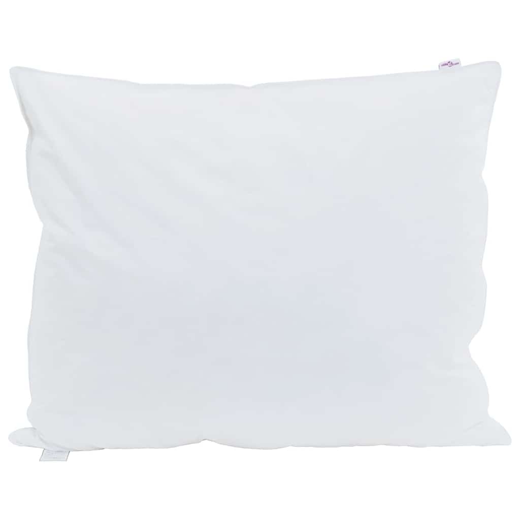 Pillows with pillowcases 2 pcs White 60 x 70 cm Feather