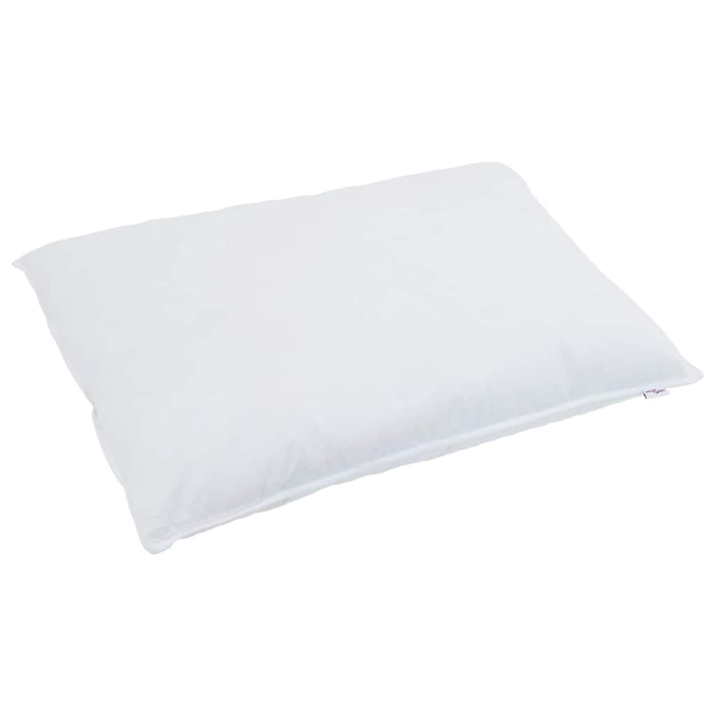 Pillows with pillowcases 2 pcs White 60 x 70 cm Feather