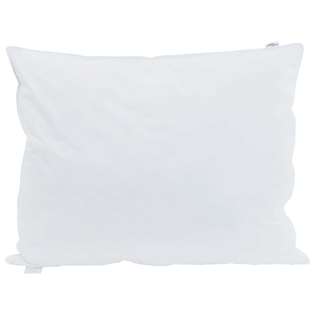 Pillows with pillow 2 pcs White 60 x 80 cm Feather
