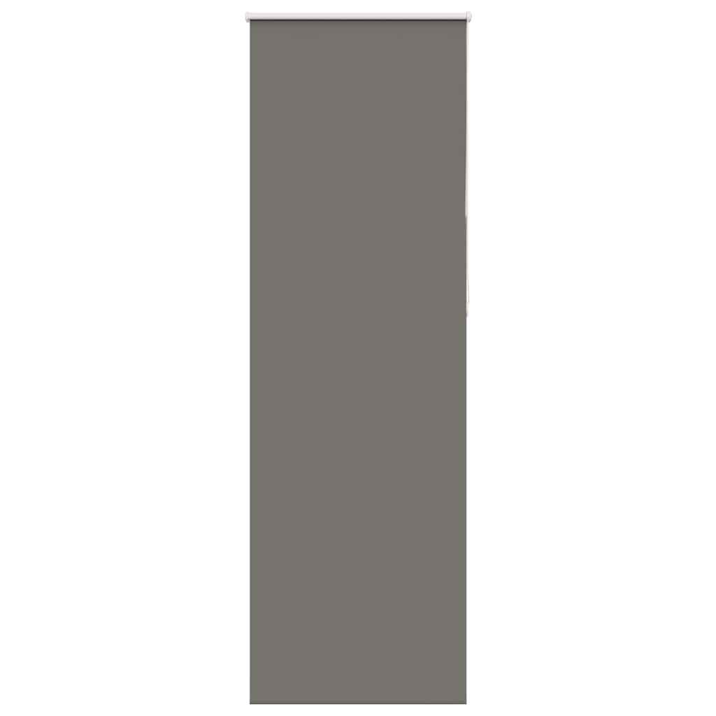 Verdunkelungsrollo Grau 65x210 cm Stoffbreite 60,7 cm Polyester