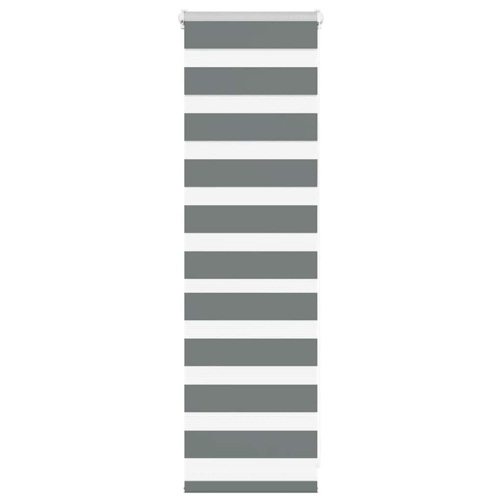 Store enrouleur jour/nuit gris foncé 50x100 cm largeur tissu 45,9 cm polyester