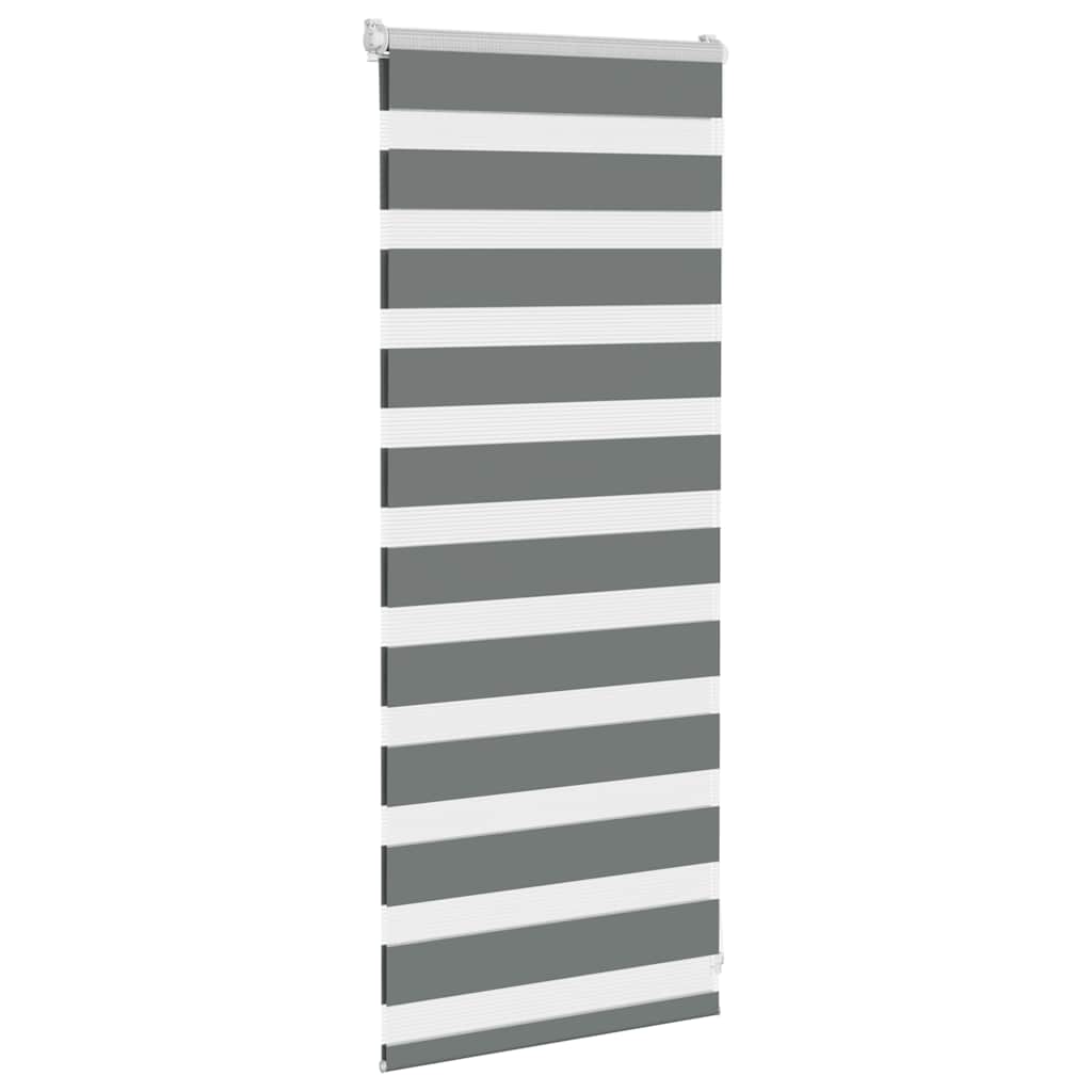 Doppelrollo Dunkelgrau 55x100 cm Stoffbreite 50,9 cm Polyester