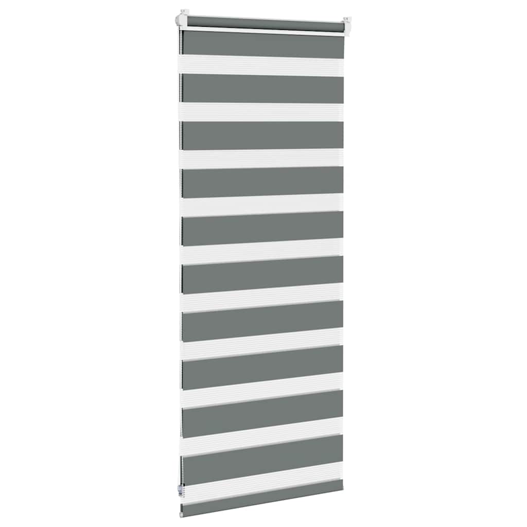 Doppelrollo Dunkelgrau 55x100 cm Stoffbreite 50,9 cm Polyester
