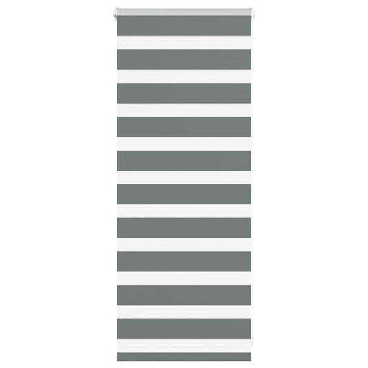 Store enrouleur double Gris foncé 60x100 cm Largeur du tissu 55,9 cm Polyester