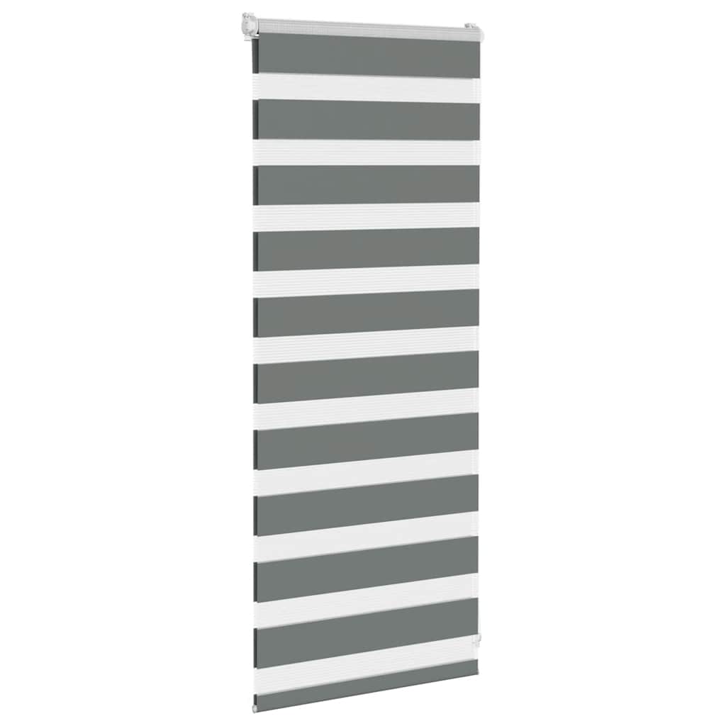 Double roller blind dark gray 65x100 cm fabric width 60.9 cm polyester