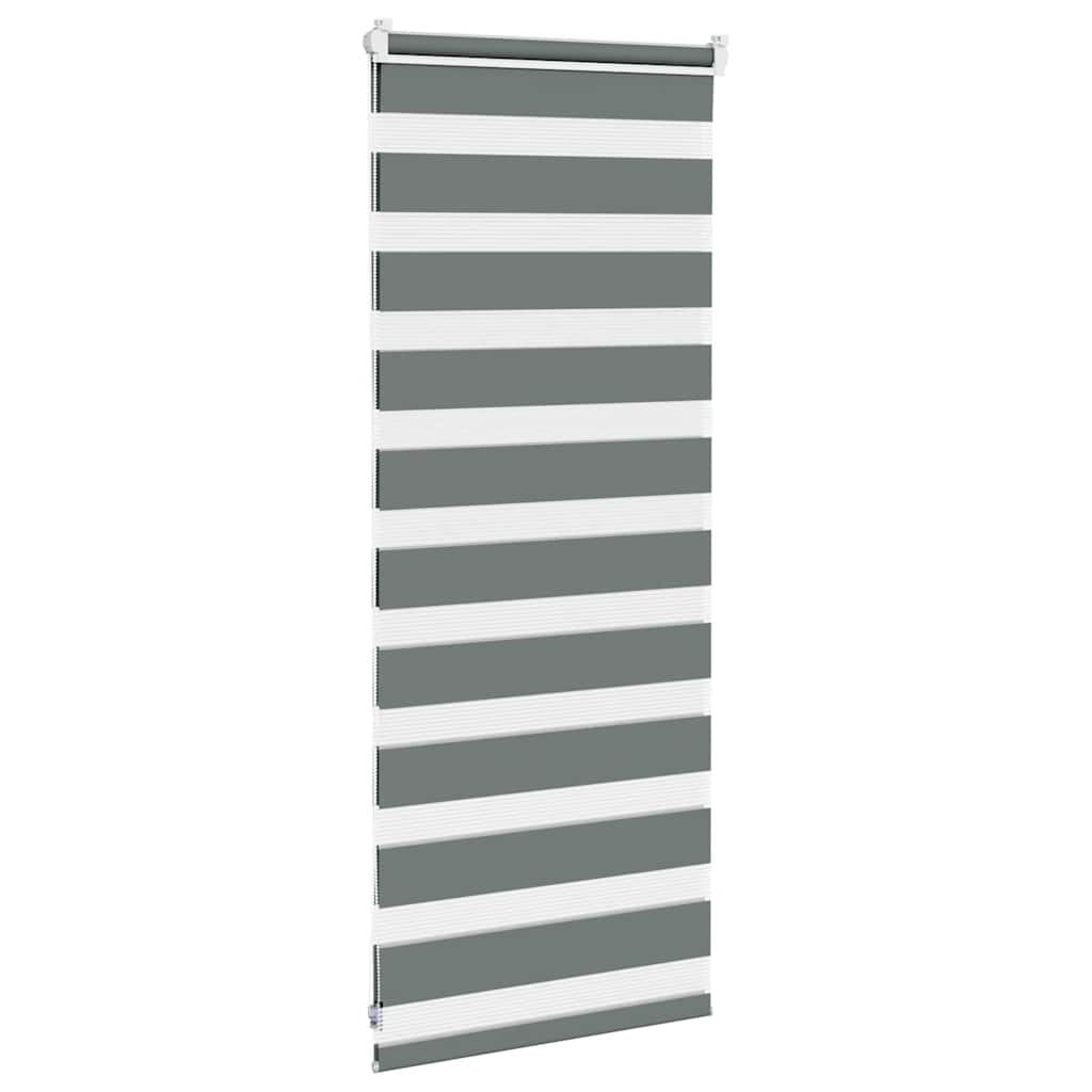 Double roller blind dark gray 65x100 cm fabric width 60.9 cm polyester