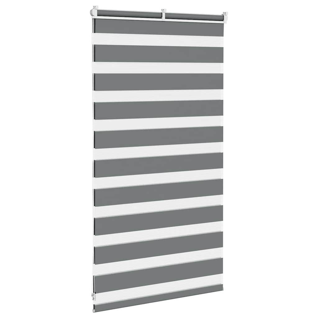 Doppelrollo Dunkelgrau 80x100 cm Stoffbreite 75,9 cm Polyester