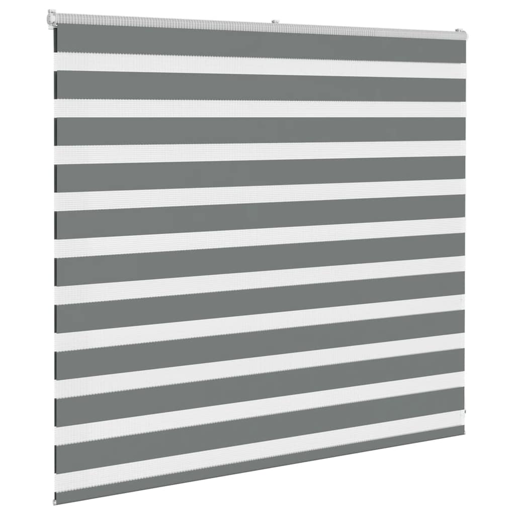 Store enrouleur double gris foncé 160x100 cm Largeur tissu 155,9 cm Polyester