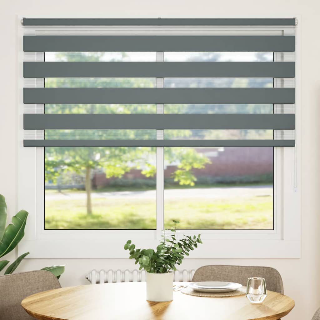 Doppelrollo Dunkelgrau 165x100 cm Stoffbreite 160,9 cm Polyester