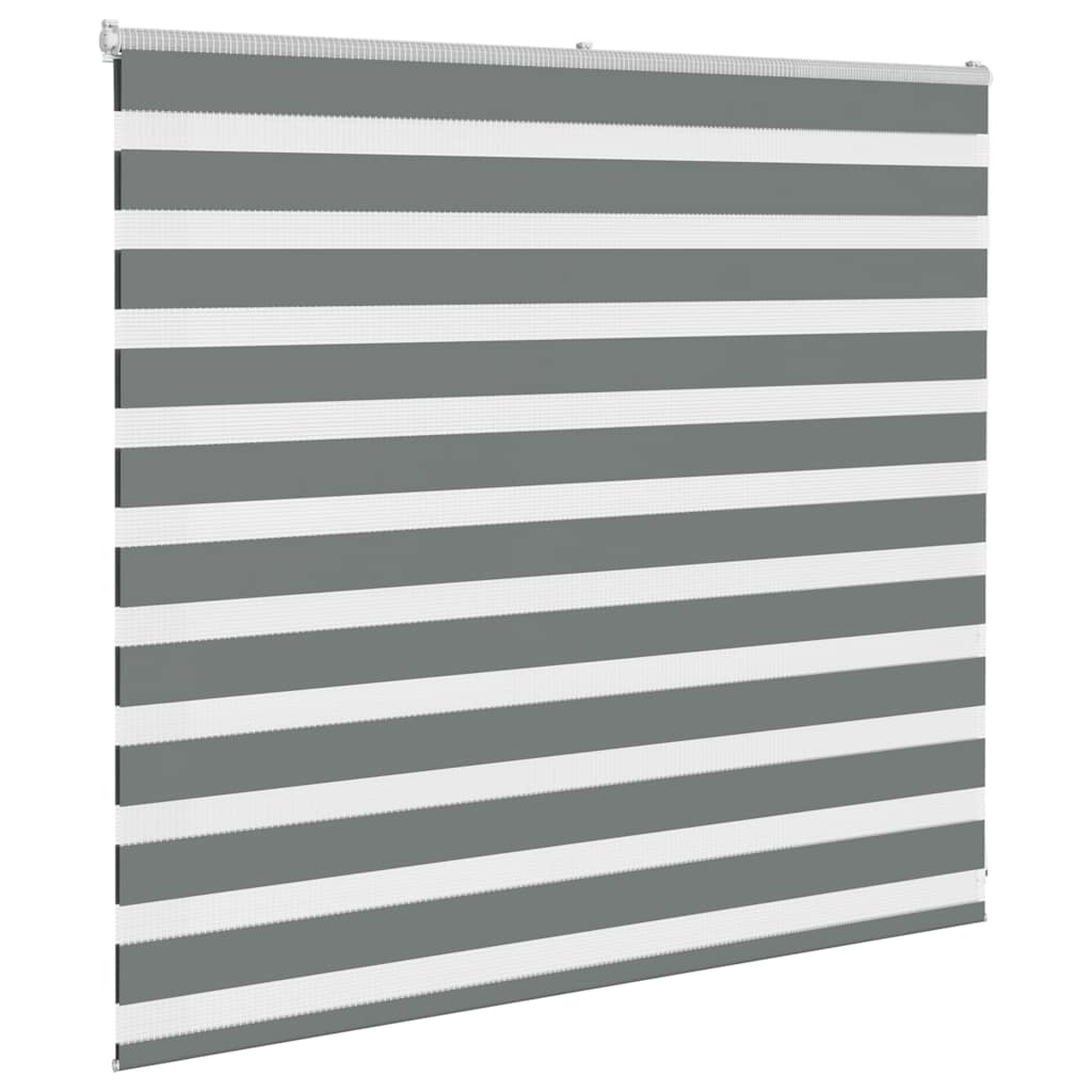 Doppelrollo Dunkelgrau 165x100 cm Stoffbreite 160,9 cm Polyester