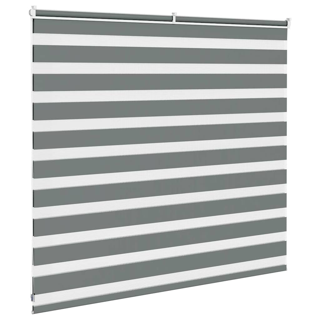 Doppelrollo Dunkelgrau 165x100 cm Stoffbreite 160,9 cm Polyester