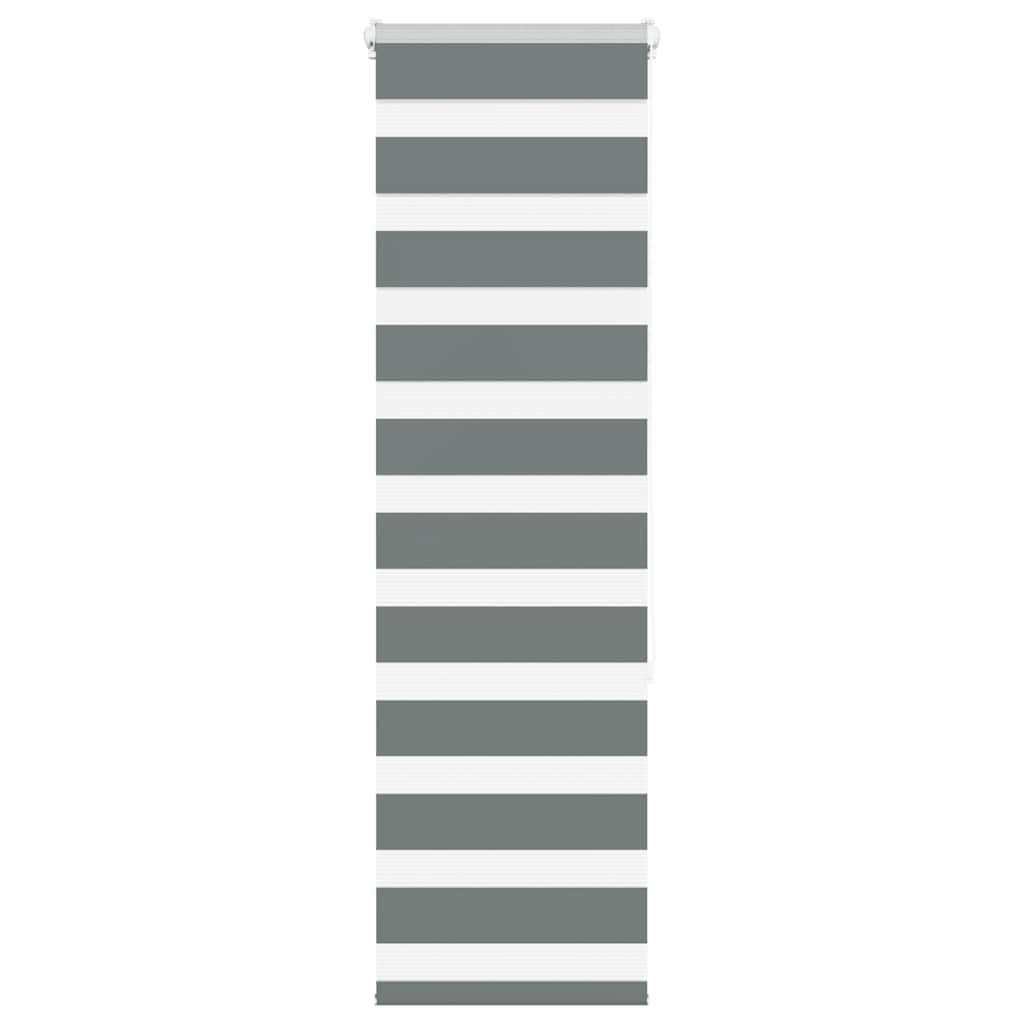 Day/Night Roller Blind Dark Grey 45x150 cm Fabric Width 40.9 cm Polyester