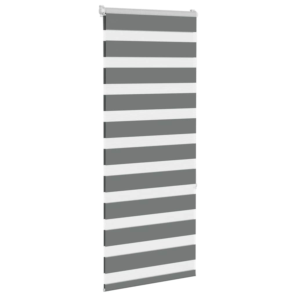 Double Roller Blind Dark Grey 55x150 cm Fabric Width 50.9 cm Polyester