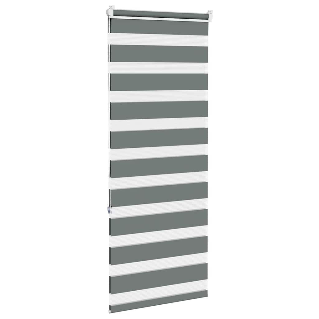 Double Roller Blind Dark Grey 55x150 cm Fabric Width 50.9 cm Polyester