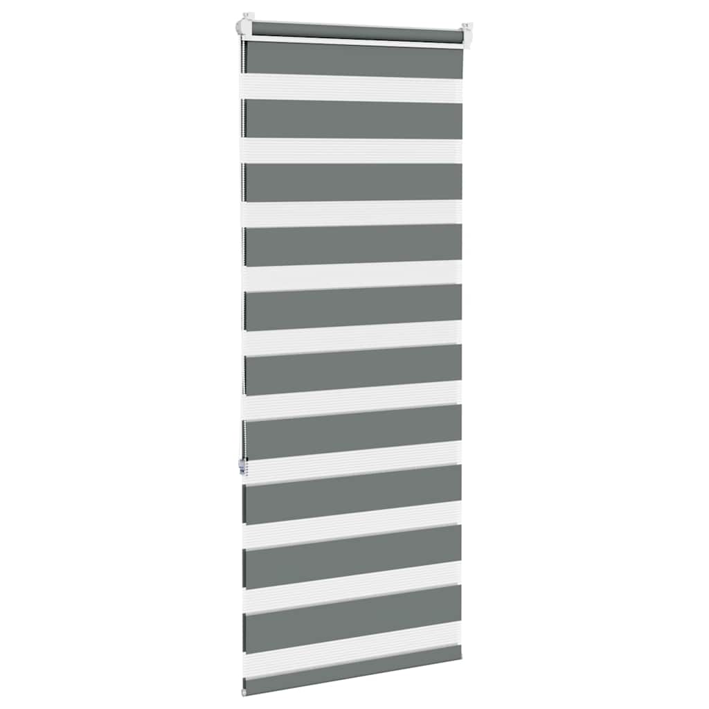 Doppelrollo Dunkelgrau 60x150 cm Stoffbreite 55,9 cm Polyester