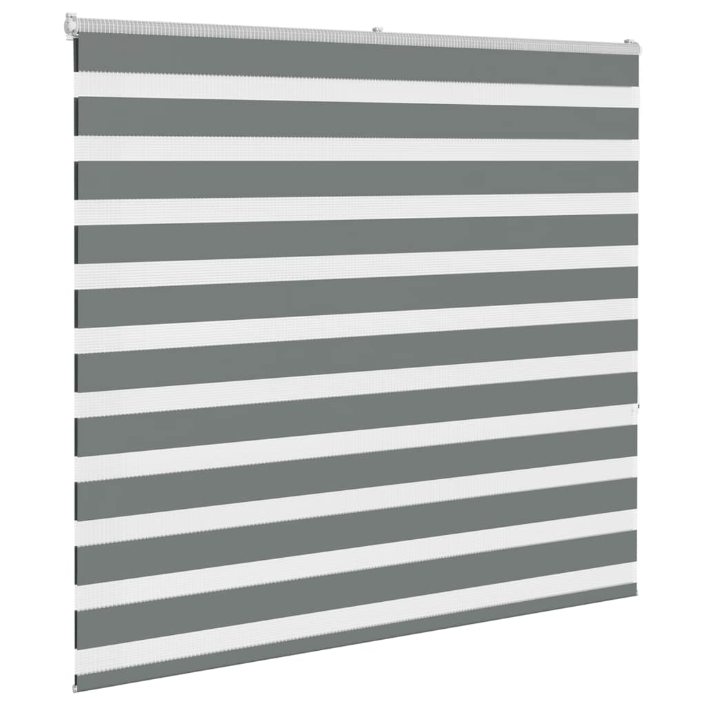 Store enrouleur double gris foncé 155x150 cm Largeur tissu 150,9 cm Polyester