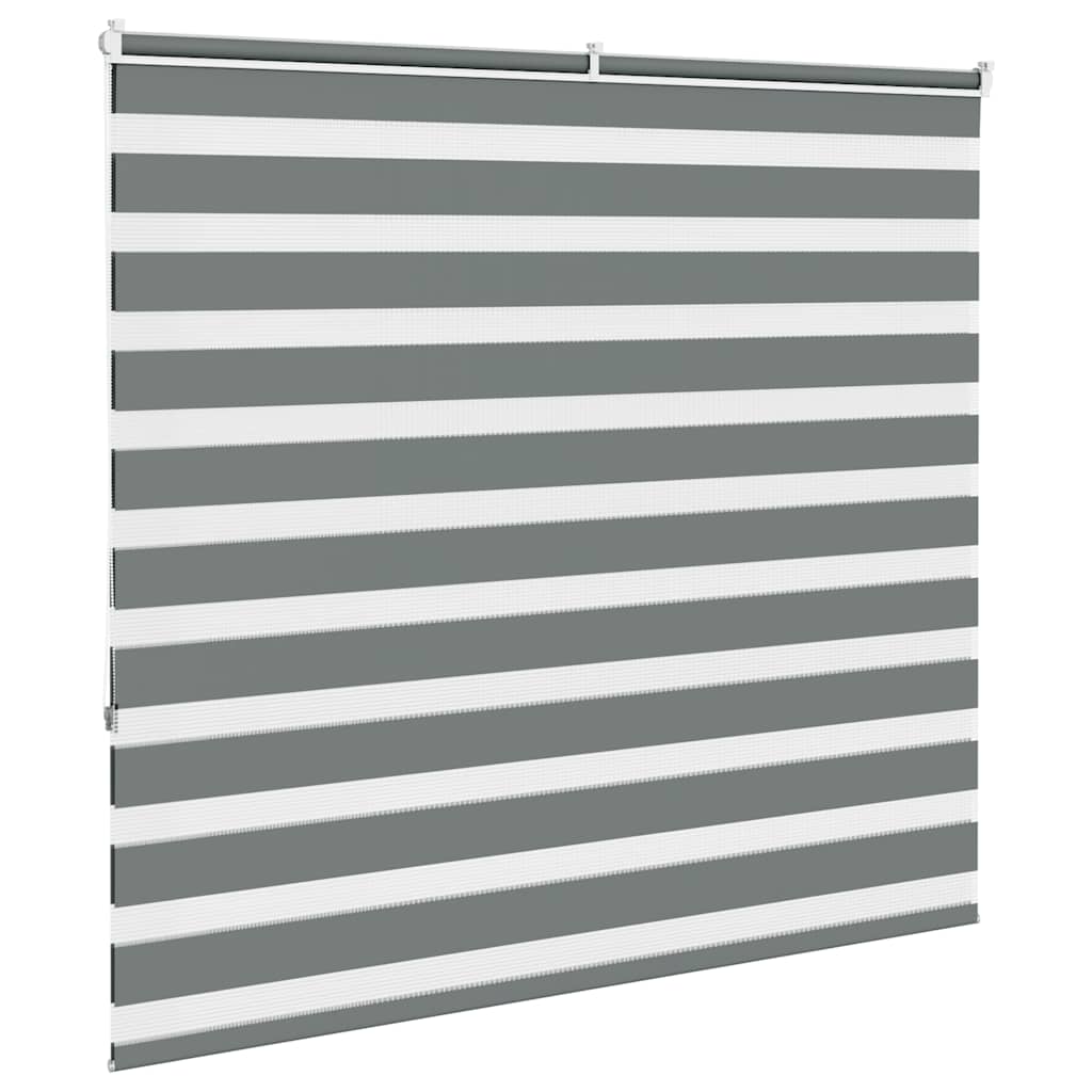 Store enrouleur double gris foncé 155x150 cm Largeur tissu 150,9 cm Polyester