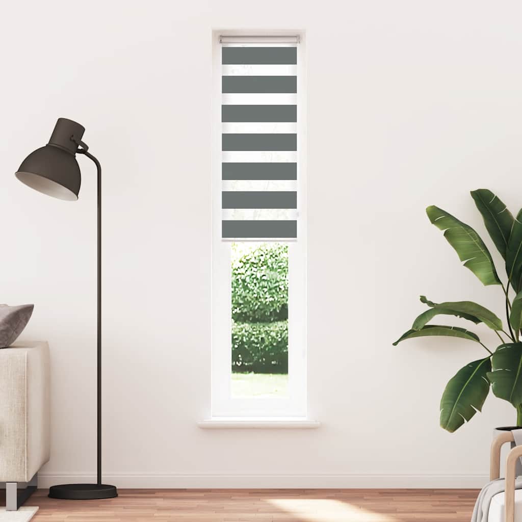 Double Roller Blind Dark Grey 40x200 cm Fabric Width 35.9 cm Polyester