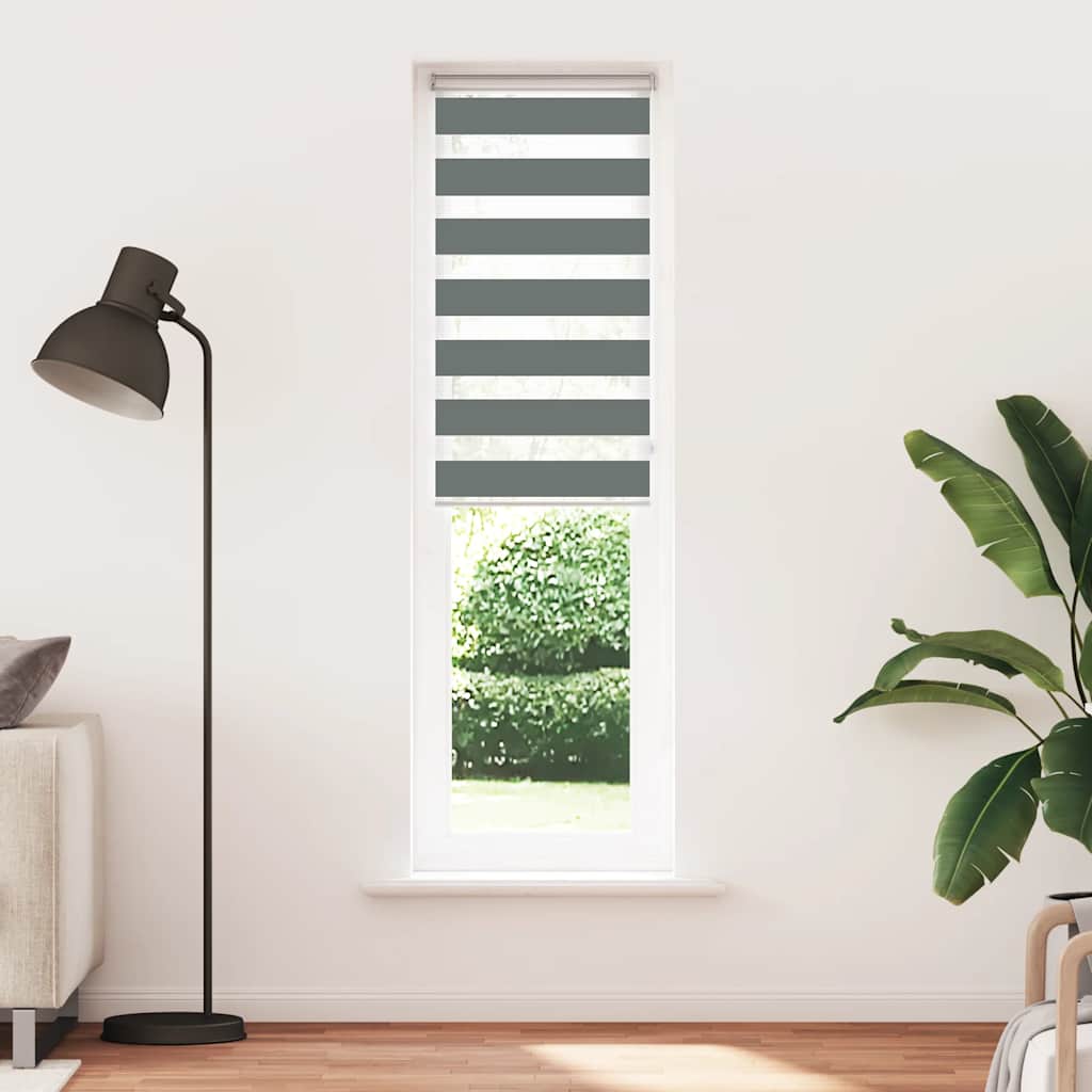 Dual Roller Blind Dark Grey 55x200 cm Fabric Width 50.9 cm Polyester