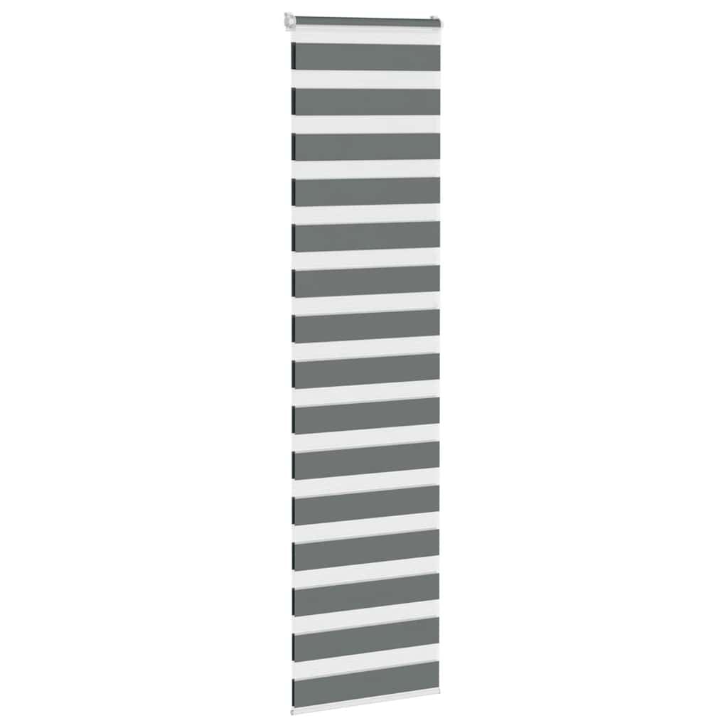 Dual Roller Blind Dark Grey 55x200 cm Fabric Width 50.9 cm Polyester