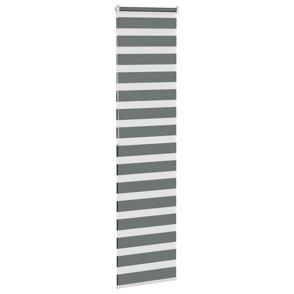 Dual Roller Blind Dark Grey 55x200 cm Fabric Width 50.9 cm Polyester