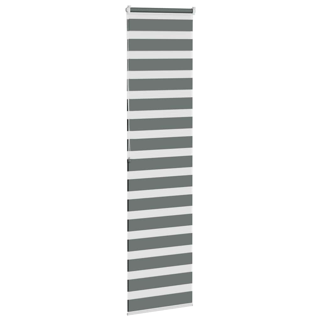 Store enrouleur duo gris foncé 60x200 cm Largeur du tissu 55,9 cm Polyester