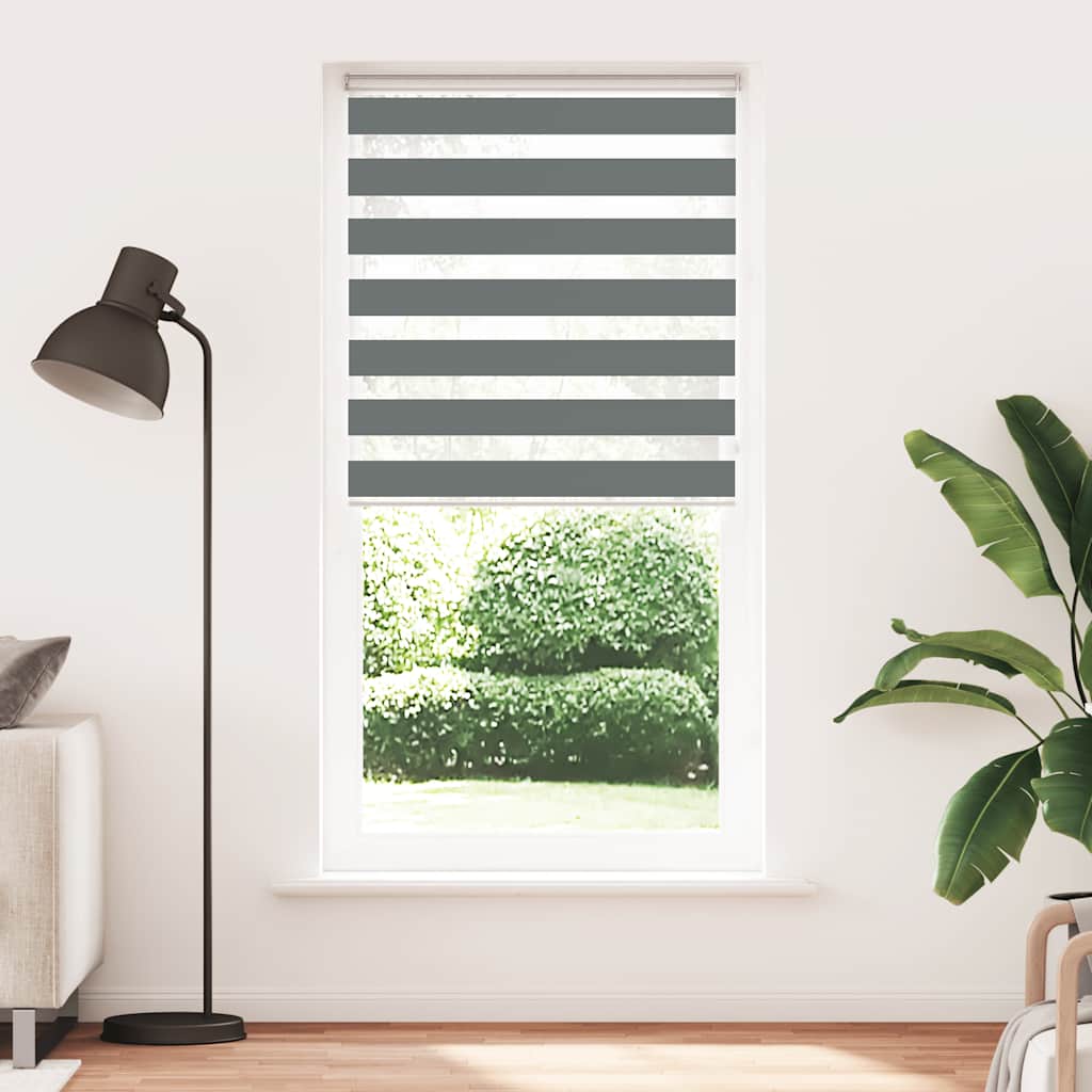 Double Roller Blind Dark Grey 100x200 cm Fabric Width 95.9 cm Polyester
