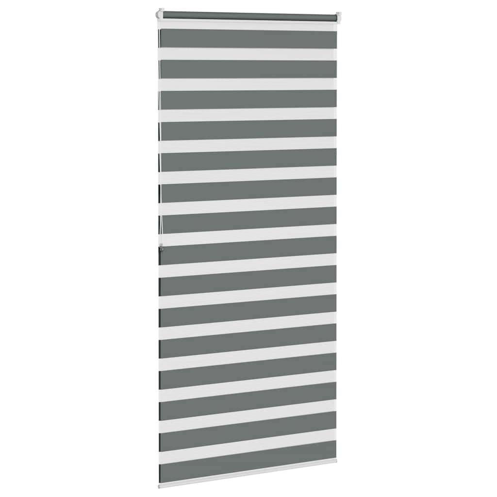 Double Roller Blind Dark Grey 100x200 cm Fabric Width 95.9 cm Polyester