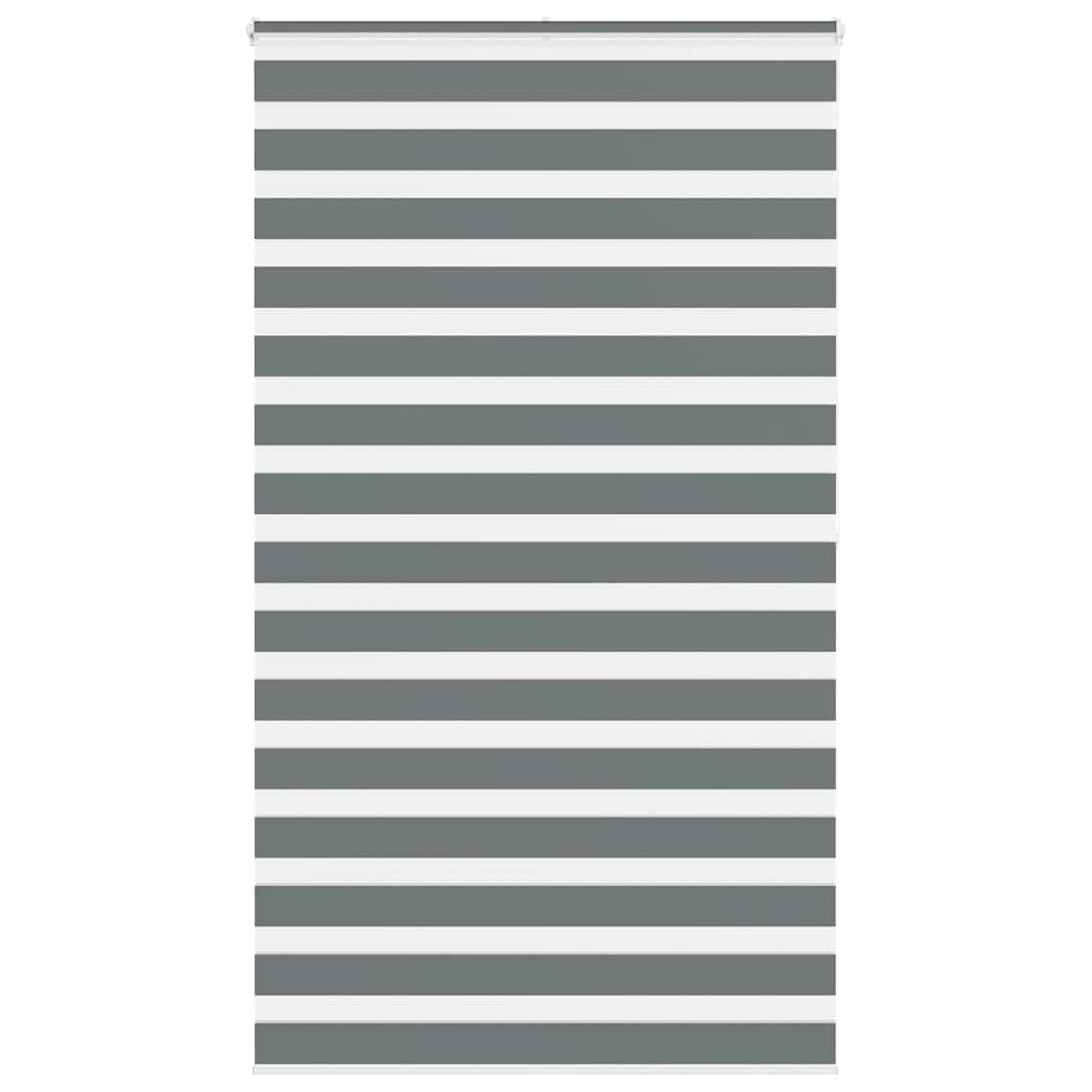 Store jour/nuit gris foncé 125x200 cm largeur du tissu 120,9 cm polyester