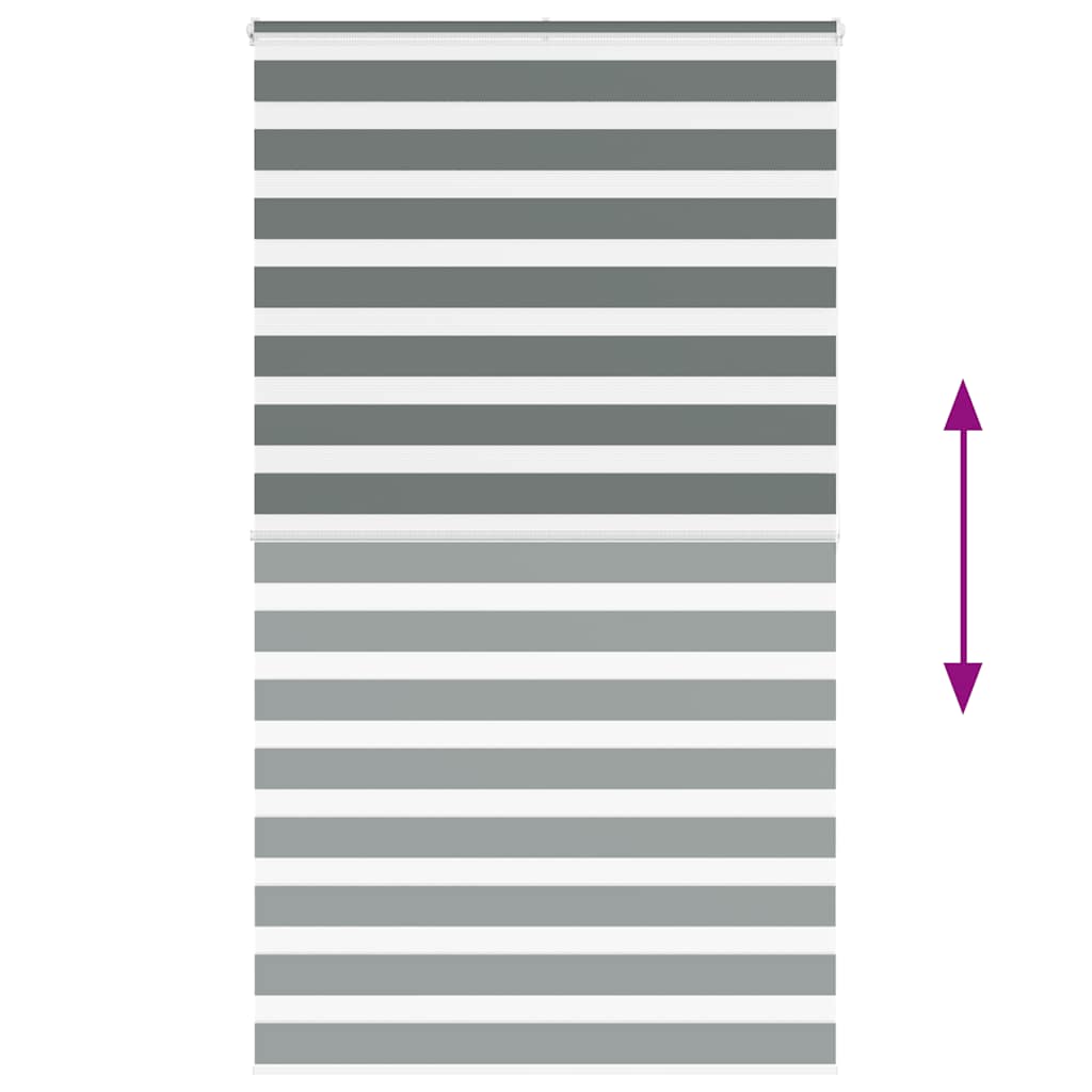 Store jour/nuit gris foncé 125x200 cm largeur du tissu 120,9 cm polyester