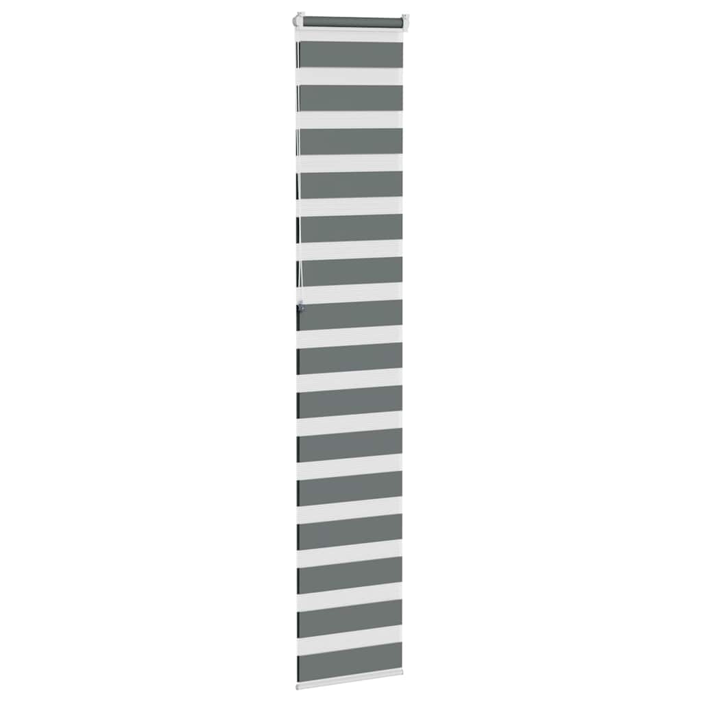 Doppelrollo Dunkelgrau 45x230 cm Stoffbreite 40,9 cm Polyester