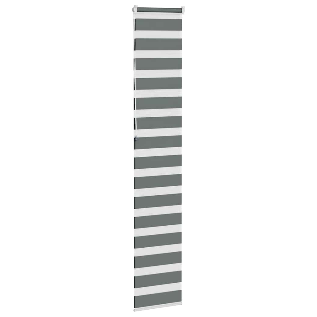 Store enrouleur double gris foncé 50x230 cm largeur tissu 45,9 cm polyester