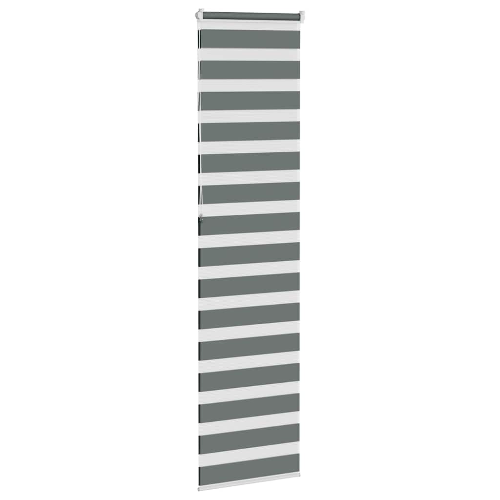 Double Roller Blind Dark Grey 60x230 cm Fabric Width 55.9 cm Polyester