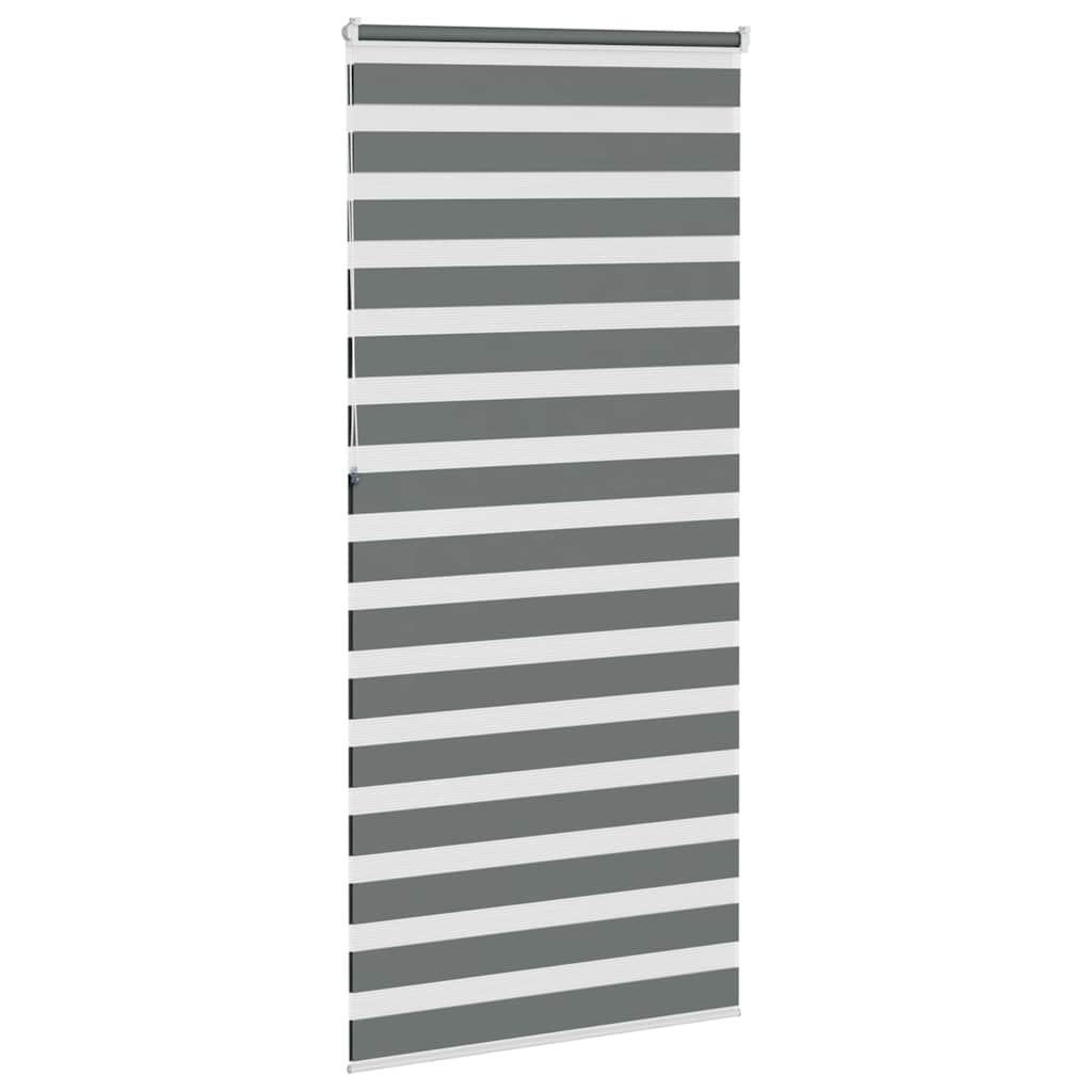 Store enrouleur double gris foncé 115x230 cm largeur du tissu 110,9 cm polyester