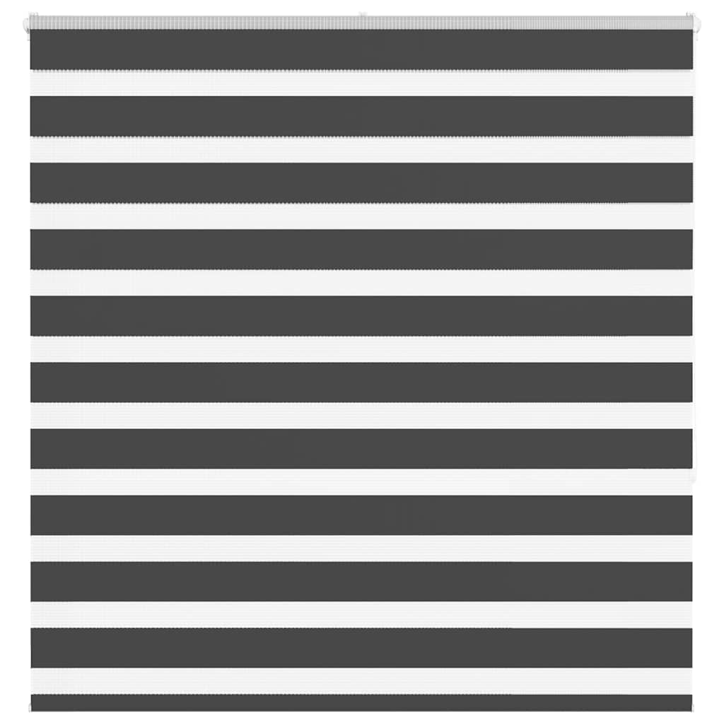 Doppelrollo Schwarz 150x150 cm Stoffbreite 145,9 cm Polyester